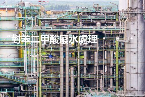 “對苯二甲酸廢水處理，綠色創(chuàng)新引領(lǐng)環(huán)保新篇章”